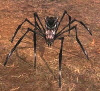 My spider in Lord of the Rings Online